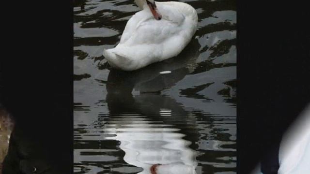 Фильм Я И ТЫ смотреть онлайн