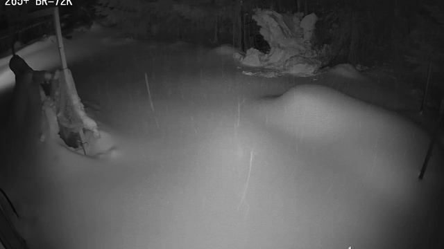 Снежок унёс Арку. смотреть онлайн