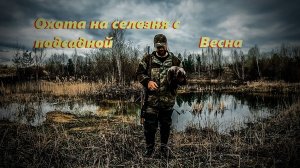 Открытие охоты на селезня с подсадной