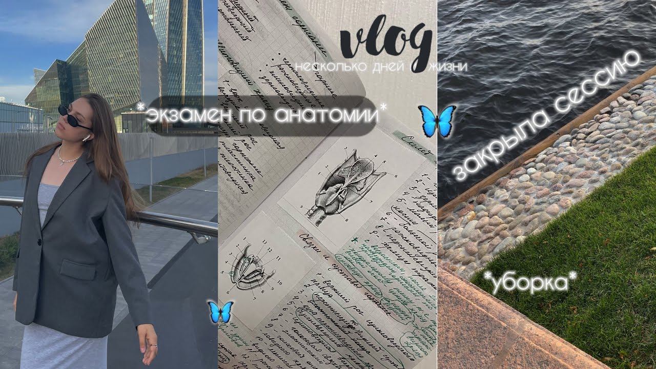 экзамен по анатомии, уборка и ночевка у подружки *vlog* смотреть онлайн