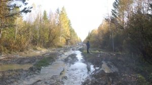 Дорога на Шунут 1