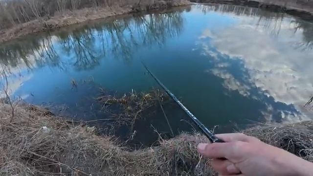 КЛЁВ КАК В ЗАПОВЕДНИКЕ! ЖОР ЩУКИ ПОСЛЕ НЕРЕСТА! Рыбалка на сказочно красивой реке на спиннинг.