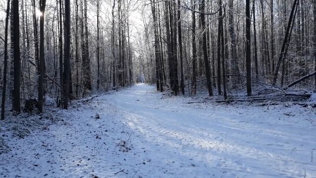 ПЕРВЫЙ СНЕГ НА ТРОПЕ ЗДОРОВЬЯ