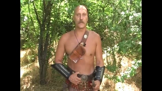 Вірш  П. Ребра з циклу "Хортицьке віче" смотреть онлайн