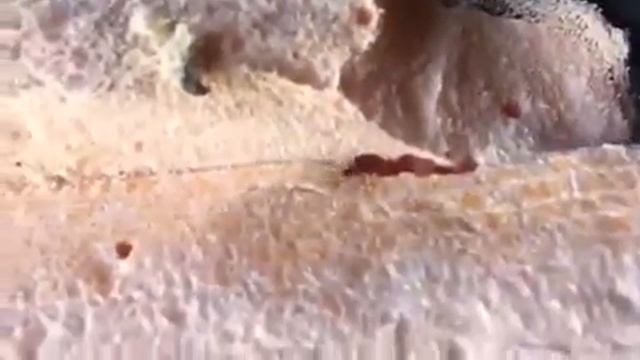 Муравейник в пеноплексе смотреть онлайн