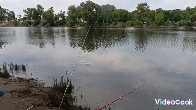 ПРО РИБАЛОК В ХАЛОШІ ! КАМ'ЯНСЬКЕ І РИБОЛОВЛЯ !