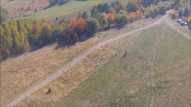 В полите на Витоша смотреть онлайн