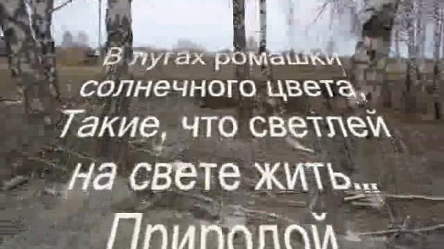 Спасите лес от людей! смотреть онлайн