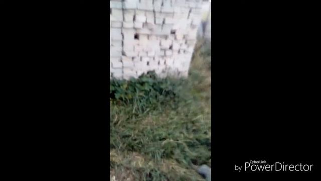 Паркур с другом смотреть онлайн