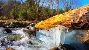 ЗВУКИ ПРИРОДЫ. ВЕЛИКОЛЕПНЫЙ РЕЛАКС ДЛЯ ВОССТАНОВЛЕНИЯ ЭНЕРГИИ.