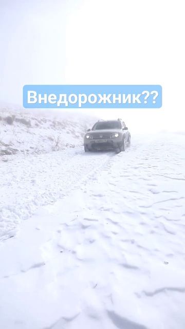 Кто сказал что дастер универсал? #жизньвгорах #кудакавказ #путешествия #турвгоры #хочувгоры #осетия
