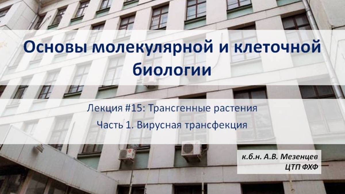Основы молекулярной и клеточной биологии (2024) Л15. Трансгенные растения, Ч1. Вирусная трансфекция