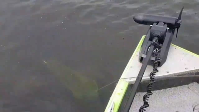 Видео сообщества Лозовские неистовые рыбаки смотреть онлайн