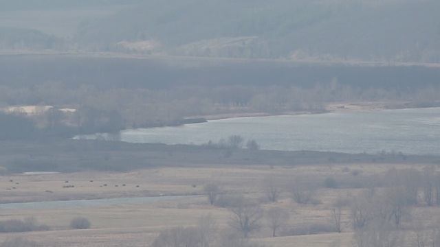 Где рыбачат Рыбаки Обзор и состояние реки Волга Лебеди и Гуси Криуши 14 04 2025