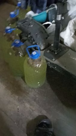 квас из берёзового сока