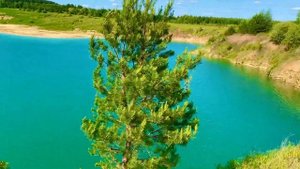 Ельниковский карьер