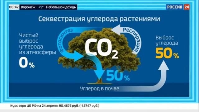 Екатерина Григорова 24.04.2021 смотреть онлайн