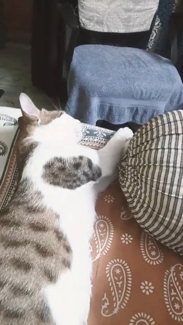 20 May 2023 смотреть онлайн