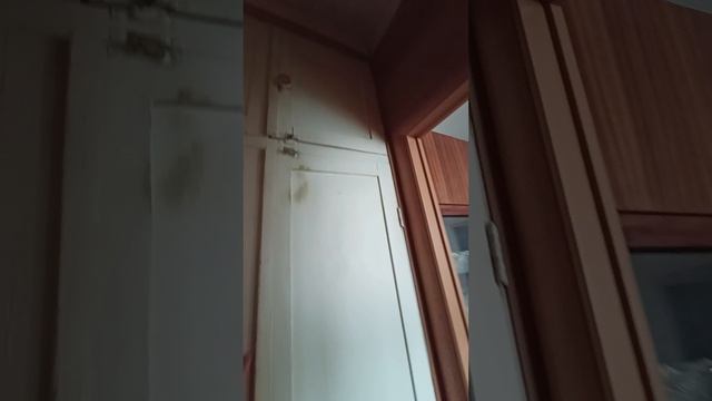 4ешка
