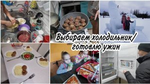 Решили присмотреть холодильник. В парке скучно. на ужин пюре с "ёжиками".