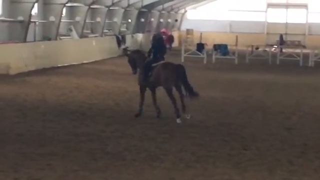 брык смотреть онлайн