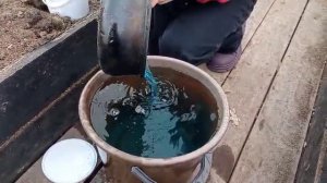 обрабатываем землю медным купоросом