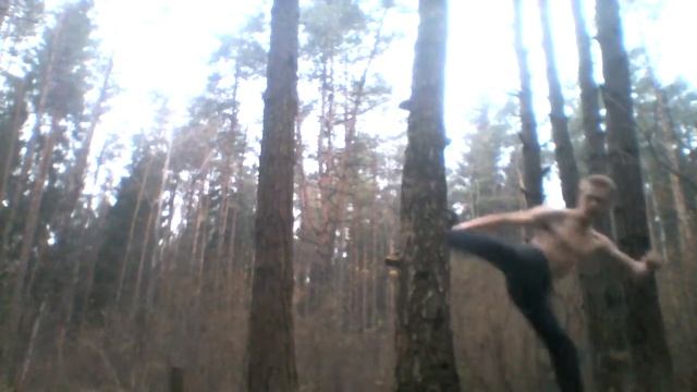 тренировка ног удары по столбу