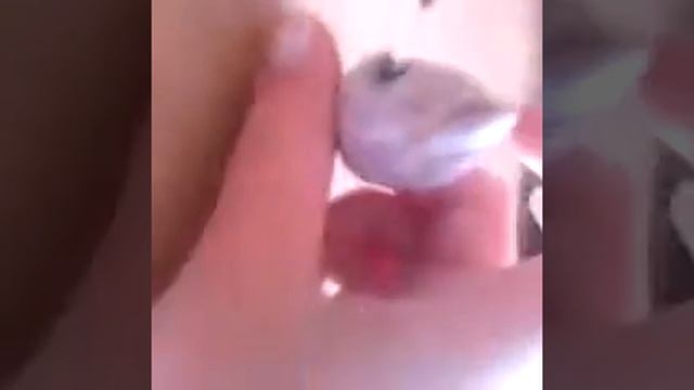 Ресторан 2 серия смотреть онлайн