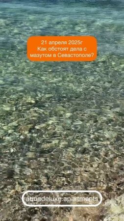 21.04.2025г. Есть ли мазут в море в Севастополе? Смотрим