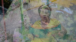 "Косе Босе" в рими