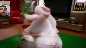 реакция на буба RYTP