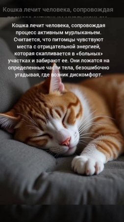 Говорят что кошки лечат
