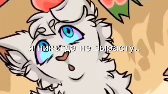 Коты Воители Мошка и Снежок🐾 смотреть онлайн