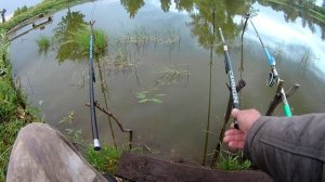 Один день карповой рыбалки