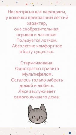 🌸 Умная, ласковая, полосатая кошечка ищет дом. 🌸