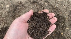 Краткое содержание первой части 🤣🤣🤣🤣. Своя земля из компоста лучше чем покупная.