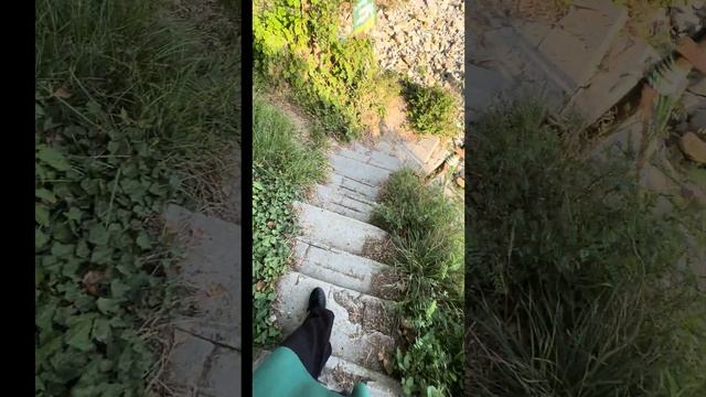 Отдых на побережье черного моря смотреть онлайн