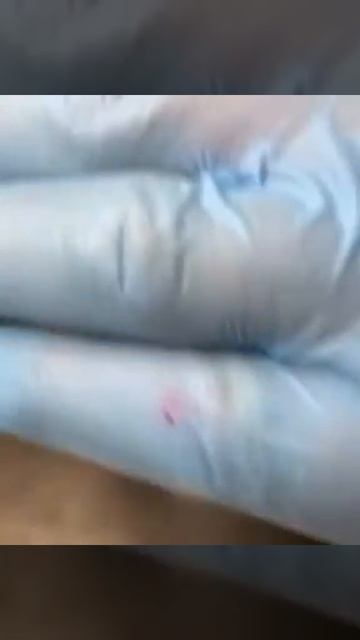 Готовим Сырный Руди в Штефан Бургер (Ростов-на-Дону) смотреть онлайн