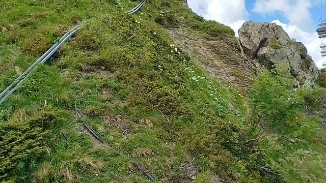Сочи. Курорт Красная Поляна. Вид с канатной дороги при подъёме из Цирка-2. (11 июня 2024 г.)