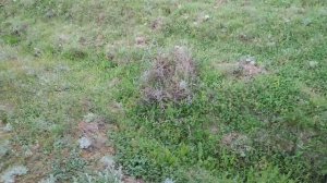 Как сохранить воду в горах?!