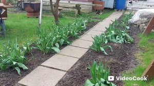 Наша дача🏡весной 2025.Как обстоят дела на участке .