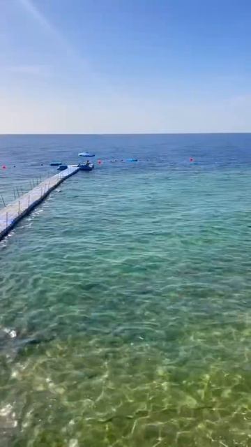 Egypt 2022. Hotel Albatros Royal Grand. Sharm el Sheikh. Red Sea. Египет. Шарм эль Шейх смотреть онлайн