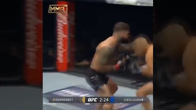 Ти Джей диллашоу нокаутировал kodi смотреть онлайн