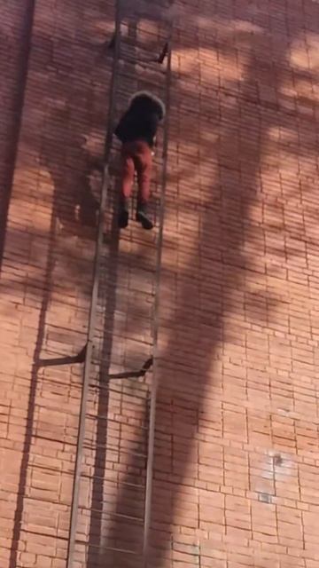 Парень вообще дурак