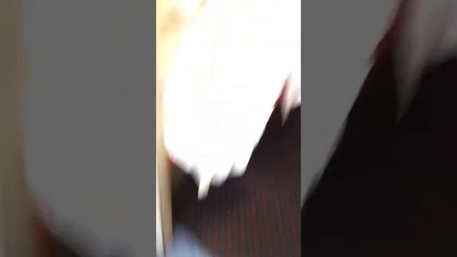 Еду из Саратова смотреть онлайн