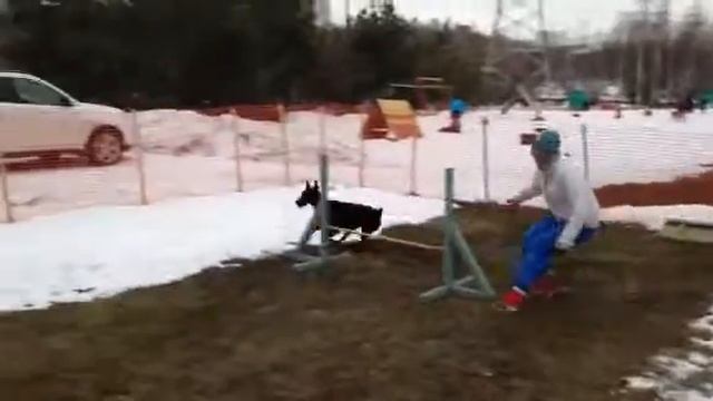 Кира на тренировке смотреть онлайн