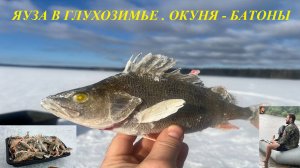 ЯУЗА В ГЛУХОЗИМЬЕ . ОКУНЯ - БАТОНЫ