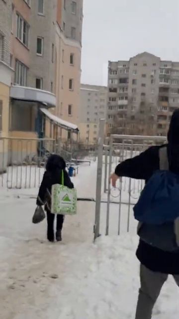 Влог #1.ШОК КОНТЕНТ. УБИЛИ СНЕЖКОМ ДЕДА💣💣🤯🤯🤯🤯🤯🤯😬😬😬😬😱😱😱😱😱😱😱😱 смотреть онлайн