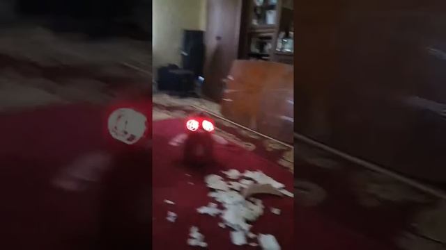 5 апреля 2019 г. смотреть онлайн