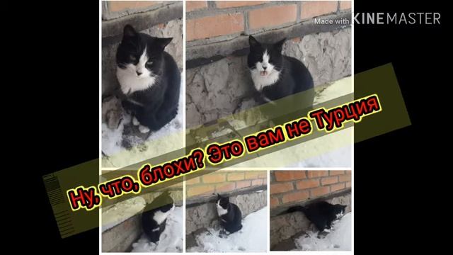 Когда снег выпал * смотреть онлайн